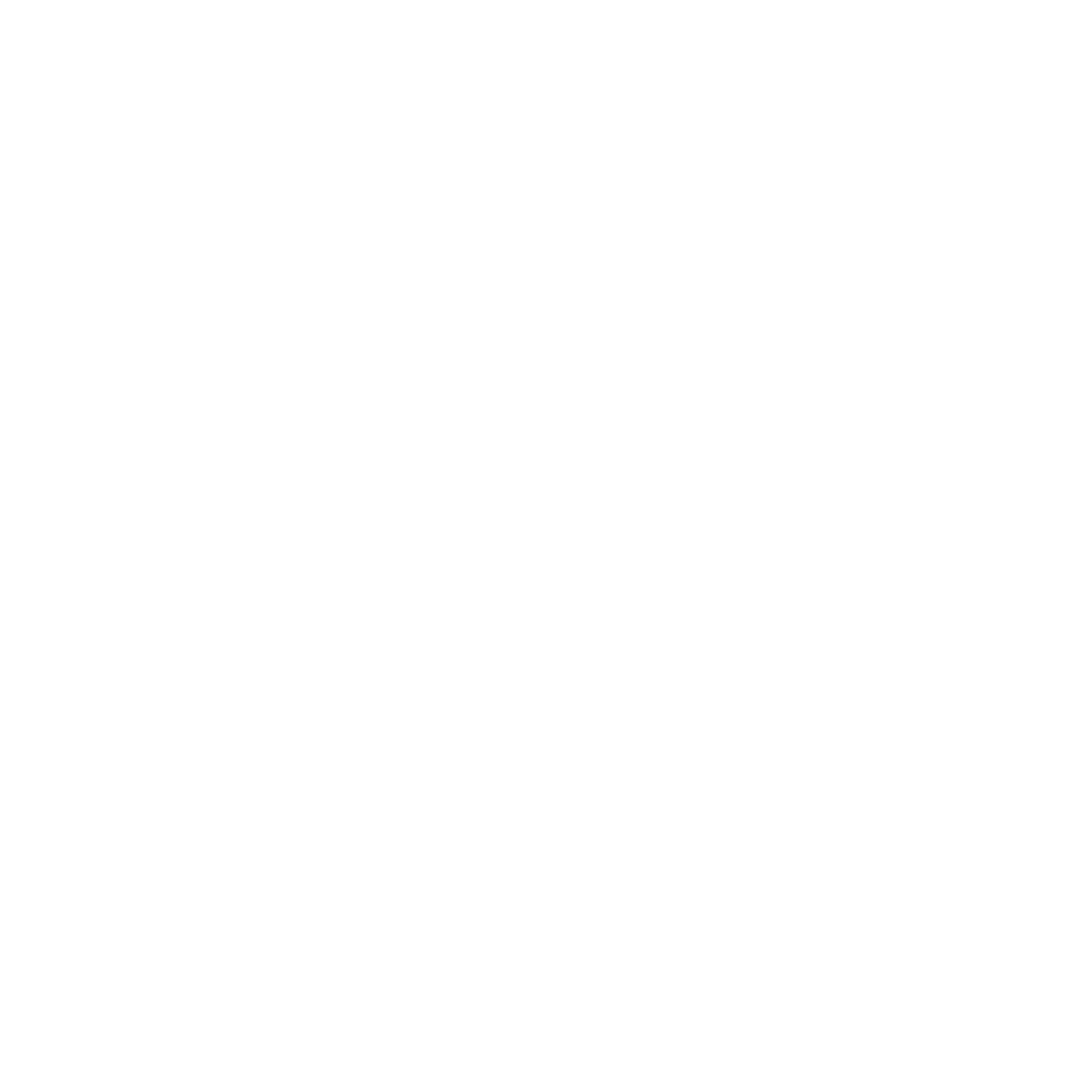 Flurr Logo